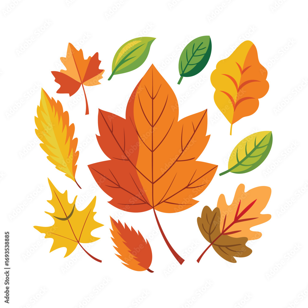 Obraz premium Vibrant collection of autumn leaves in various colors and shapes