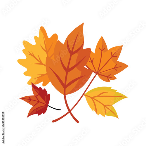 Vibrant autumn leaves cluster in warm fall colors