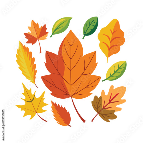 Vibrant collection of autumn leaves in various colors and shapes