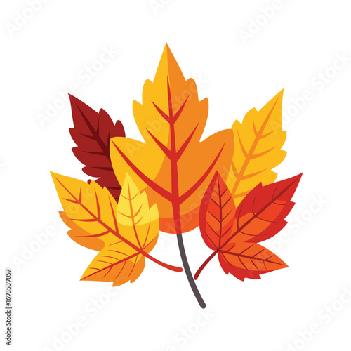 Vibrant autumn maple leaves in a cluster