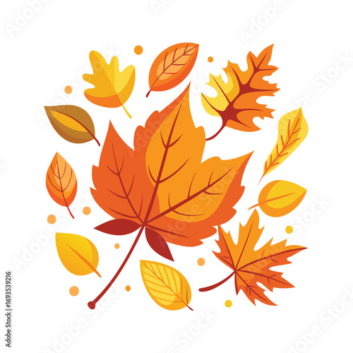 Vibrant autumn leaves in a scattered arrangement
