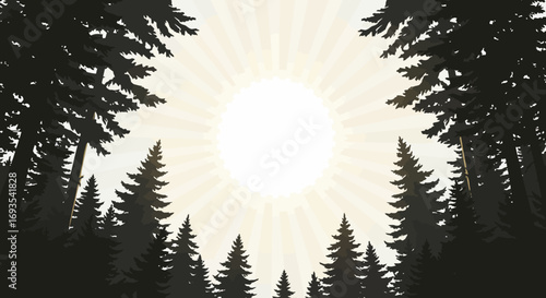 Silhouetted trees frame a bright radial sunburst pattern