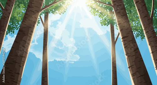 Trees tower upward to a bright sky with light filtering through the leaves