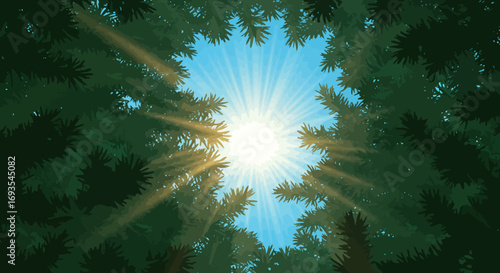 View looking up through tree canopy with sun bursting through the branches