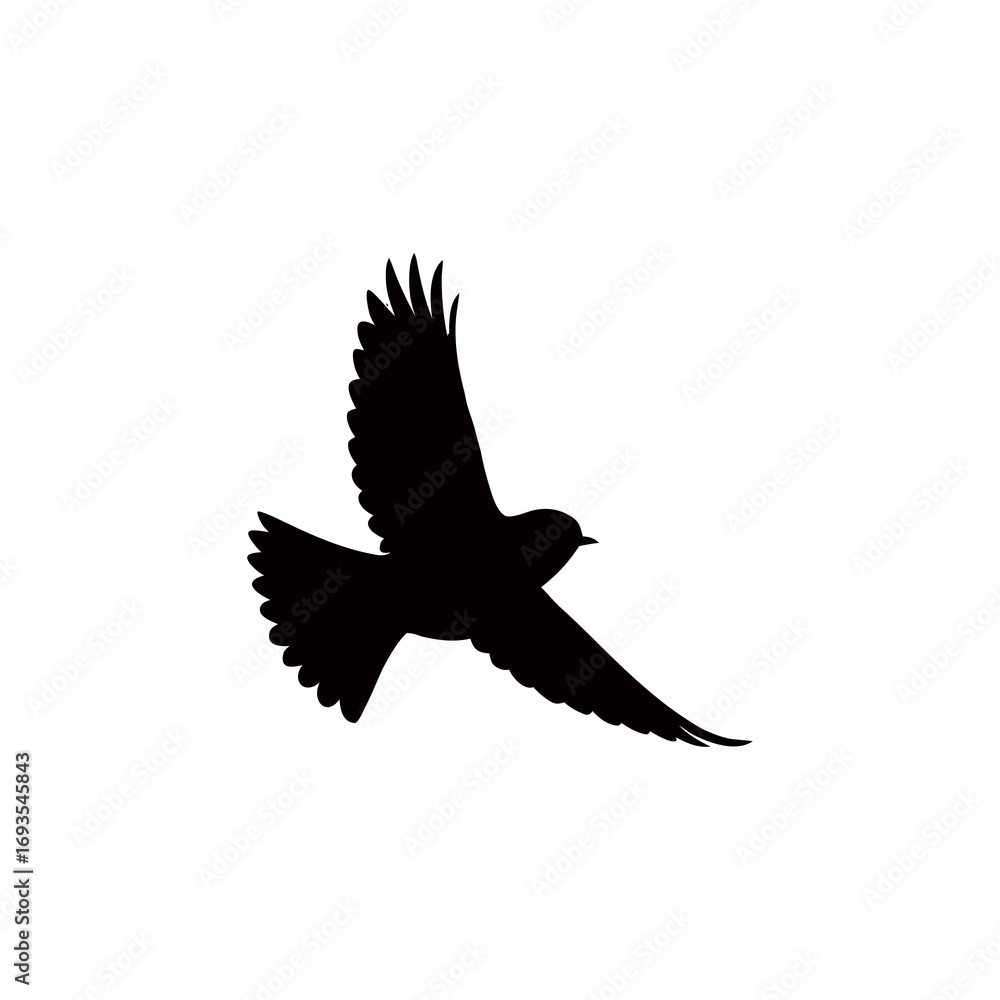 Obraz premium Elegant Silhouette of a Bird in Flight Against a White Background Symbolizing Freedom and Graceful Movement with Detailed Wings