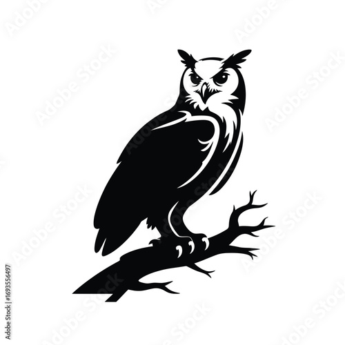 Silhouette of a great horned owl perched on a bare branch
