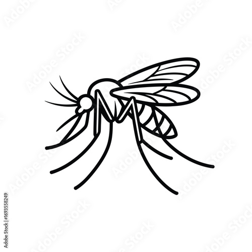 Simple black and white line drawing of a mosquito insect