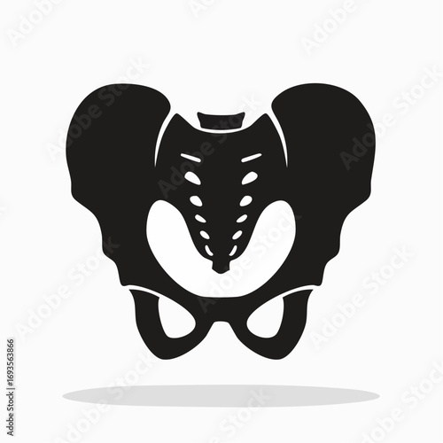 An illustration of the human pelvis bone with light shadow