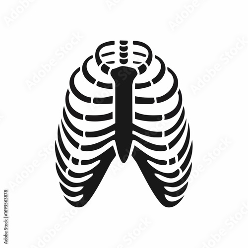 Anatomy of a Rib Cage in Black and White. An illustrated, educational graphic representation of a human chest, used in medical studies