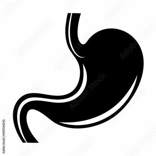 A stylized illustration of a stomach. The image is a graphic rendering of the human stomach, perfect for educational or medical content.