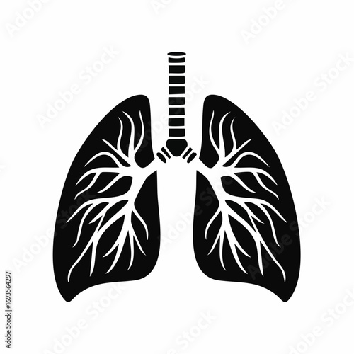 A black and white illustration of the human lungs, showcasing its intricate details