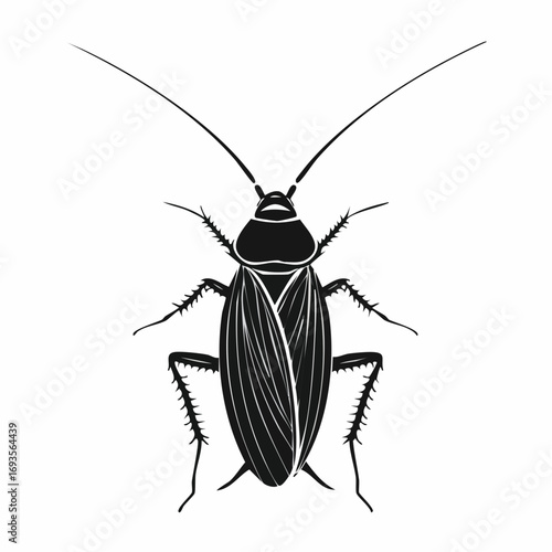 A detailed black cockroach, isolated and ready for various applications. The intricate details showcase the insect's features, perfect for educational or illustrative purposes