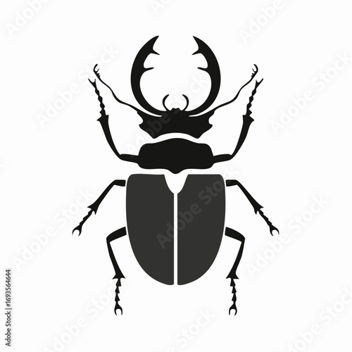 Stag beetle silhouette on white background