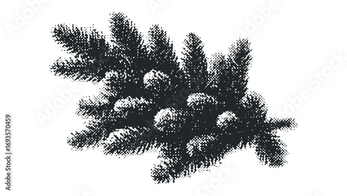 Pine branch with cones transparent image. Vector hand drawn illustration