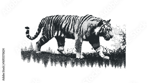 Tiger walking in textured landscape. Vector hand drawn illustration