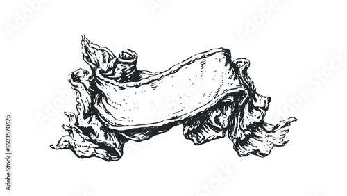 Parchment scroll in sketch style. Vector hand drawn illustration