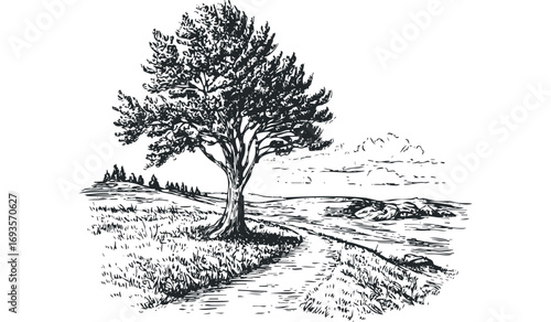 Line art drawing of a solitary tree beside a path in a landscape. Vector hand drawn illustration