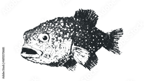 Textured sketch of a fish with open mouth on white. Vector hand drawn illustration