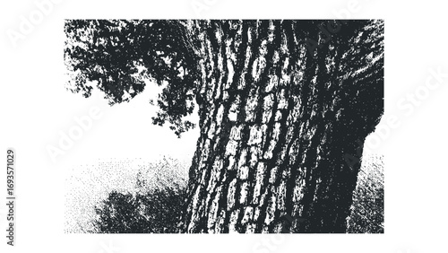 Detailed close up of dark textured tree bark and foliage on white. Vector hand drawn illustration