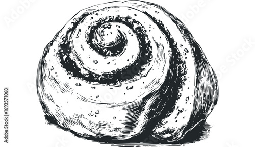 Detailed Sketch of a Swirl Pastry with Cinnamon Filling on Transparent. Vector hand drawn illustration