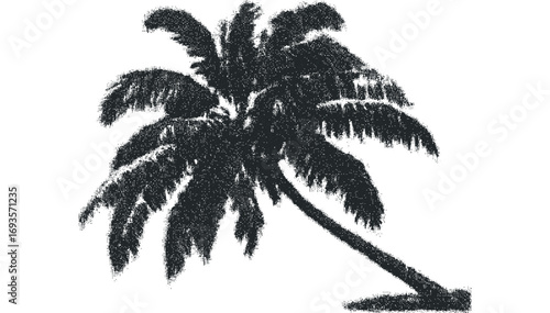 Silhouette of a palm tree with textured leaves on a transparent background. Vector hand drawn illustration