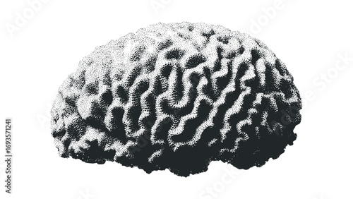 Stippled Brain Anatomy Representation. Vector hand drawn illustration