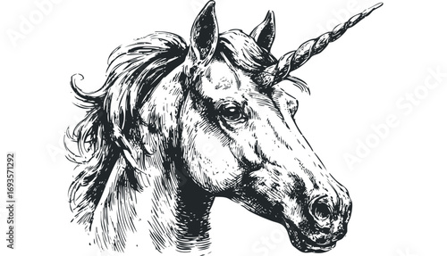 Detailed sketch of a mythical unicorn head with spiraling horn and flowing mane. Vector hand drawn illustration
