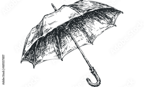 Hand Drawn Umbrella Sketch Transparent. Vector hand drawn illustration