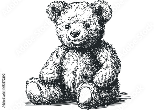 Line drawing of a fuzzy teddy bear sitting down on a transparent background. Vector hand drawn illustration