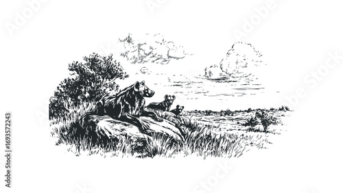 Hyena pack resting on rocks in a grassy savanna landscape with cloudy sky. Vector hand drawn illustration