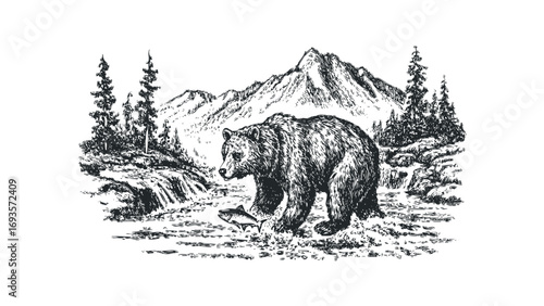 Sketch of Grizzly Bear Hunting Salmon in Mountain River Landscape. Vector hand drawn illustration