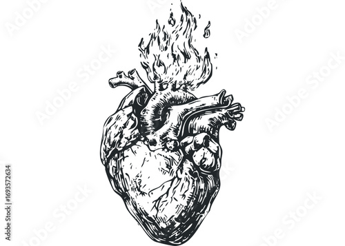 Burning Anatomical Heart with Flames. Vector hand drawn illustration