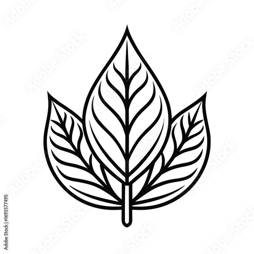 elaborate leaf element vector on white background