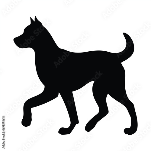 silhouette of a dog walking  