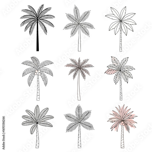 Collection of nine different palm tree illustrations