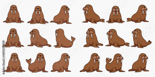 A set of brown cartoon walrus illustrations with large tusks, depicted in various poses and angles for an animation sequence.