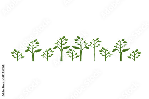 outdoor garden decorative hedge plant background