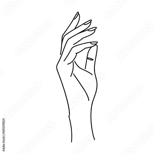 Elegant line art drawing of a delicate female hand with fingernails