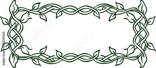 Vector illustration of a Celtic frame adorned with decorative leaves.