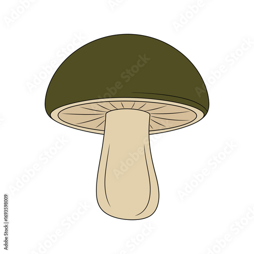 Simple mushroom illustration fungi forest nature food ingredient isolated graphic vector