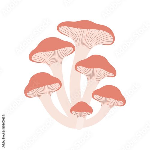Nature's bounty cluster of organic edible mushrooms natural forest fungi healthy food ingredient illustration vector