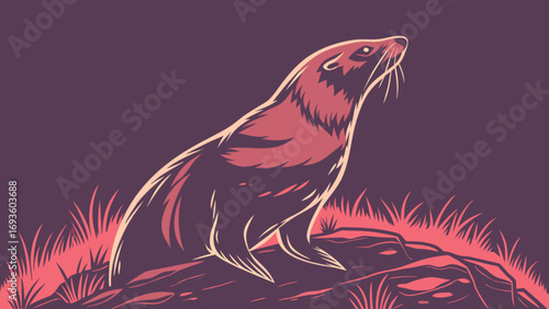 Illustration of a seal sea lion resting on rocks wildlife animal marine mammal ocean aquatic creature art