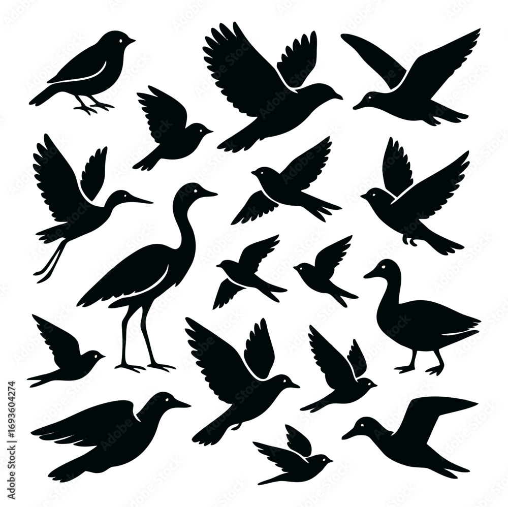 Obraz premium Seamless Pattern of Flying Birds Silhouette on White Background