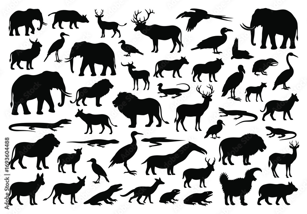 Obraz premium Diverse Animal Silhouettes Showcase Various Species in Black-White Illustration Art for Wildlife Enthusiasts