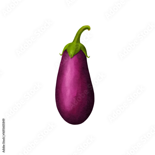 eggplant watercolor isolated vector white background