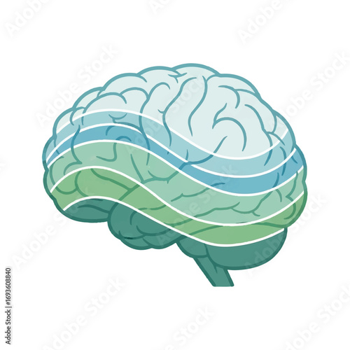 Illustration of a human brain with layered sections in shades of blue and green, representing cognitive function or mental processes.