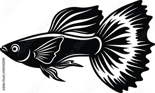 Stylized black and white vector of a Guppy fish with a large, decorative tail. Excellent for aquarium clubs, pet shops, and elegant aquatic logos.