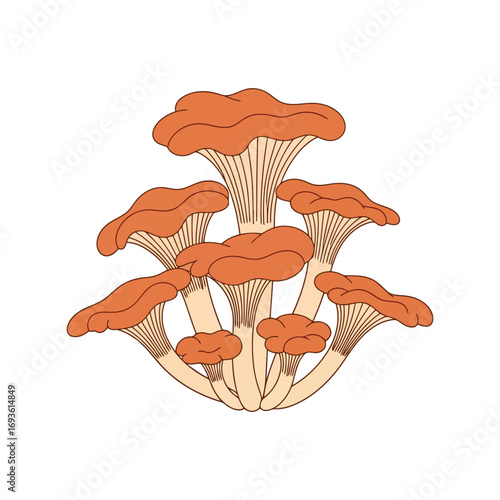 Vibrant chanterelle mushrooms cluster wild edible fungi forest nature vector