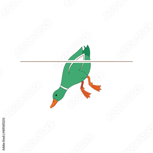 Cute mallard duck diving underwater surface water wildlife animal nature vector