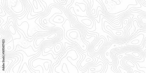 Abstract minimal geography location vector topo map. creative discovery White wave grid stripe line map topography. vector geographic contour mounted map background.	
